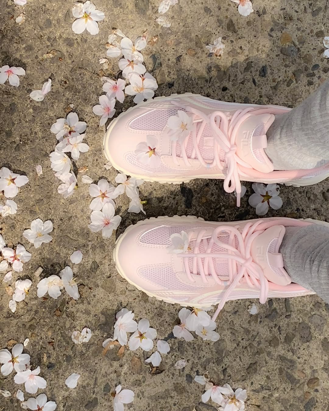 韓國 FILA Pink Blossom Collection|Eshape Blossom 運動鞋《 限量版 》