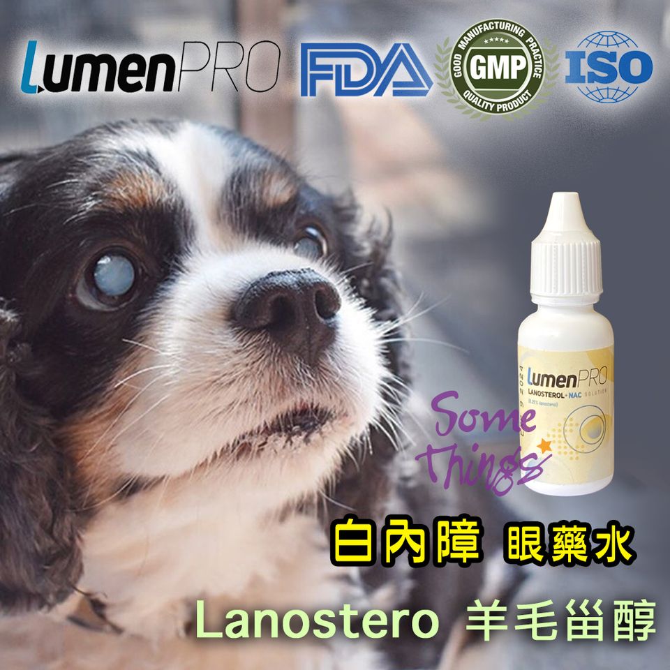 美國 LumenPro Lanosterol 羊毛甾醇 & NAC N-乙酰基肌肽 動物白內障眼水 (貓、狗、兔)1支 10mL