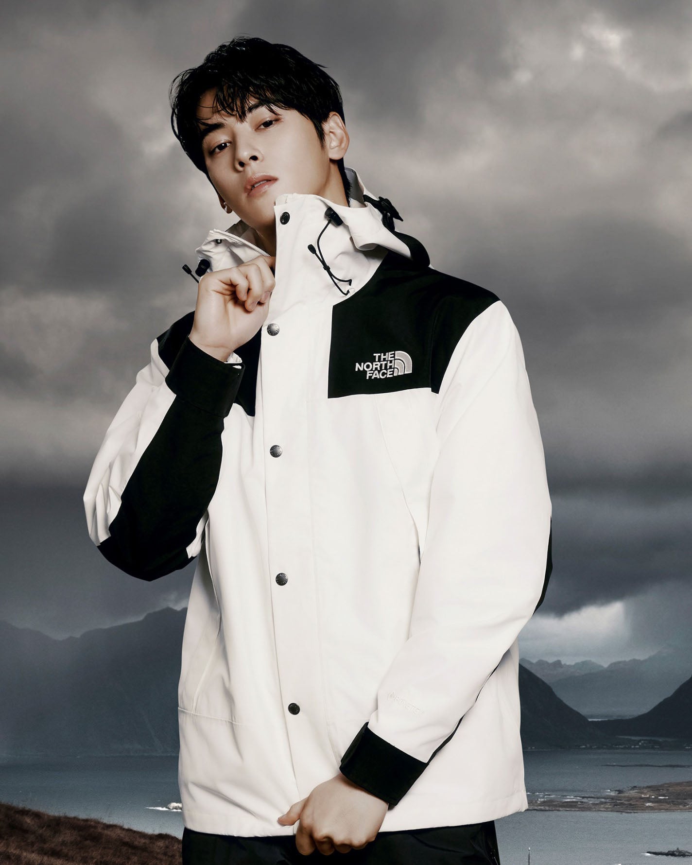 韓國🇰🇷 The North Face TNF White Label ECO GORE TEX 1990 Mountain Jacket 衝鋒衣