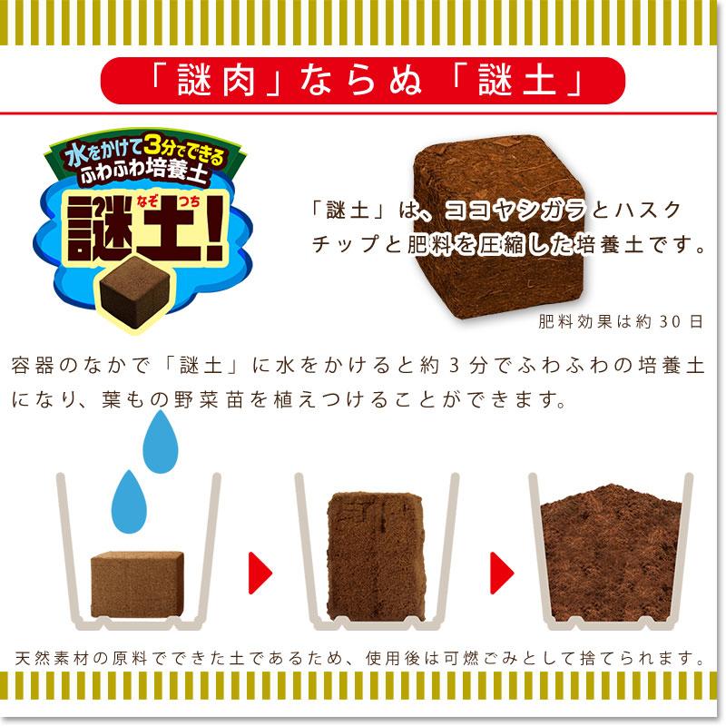 Nissin Food x ProtoLeaf Nissin Cup Noodle Flower Pot Terrace Planting Pot | Contains culture soil and fertilizer