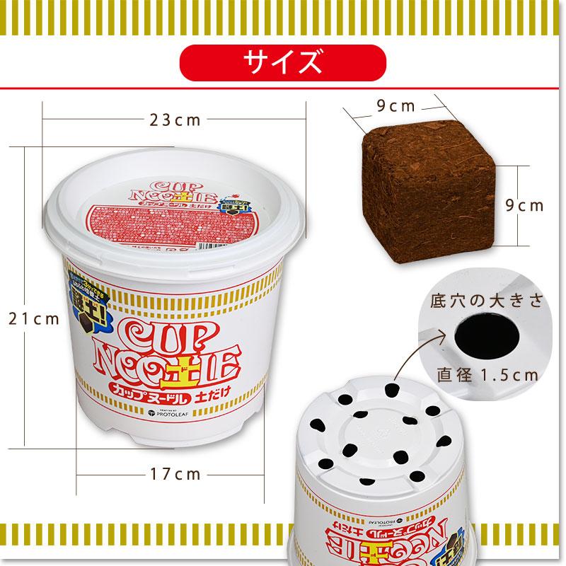 Nissin Food x ProtoLeaf Nissin Cup Noodle Flower Pot Terrace Planting Pot | Contains culture soil and fertilizer