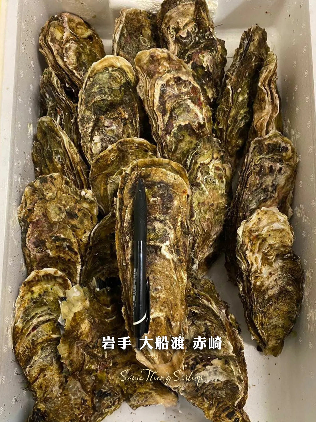Tokyo Toyoshu Market 📦Direct delivery from original box|Japanese seasonal fresh oysters•Shell payment〚Updated daily〛