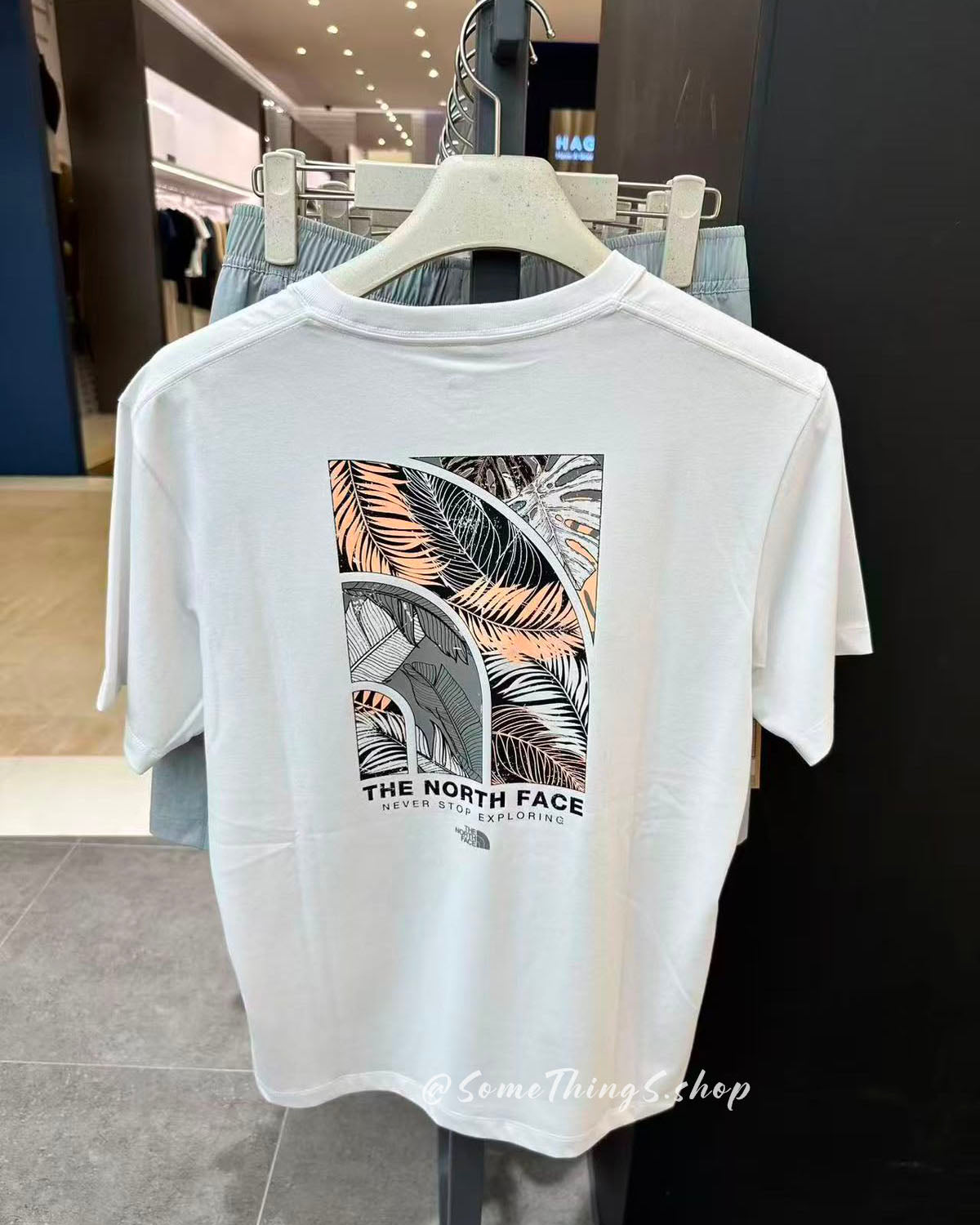韓國 🇰🇷 The North Face TNF Evergreen 男裝 短袖 Tee|Never Stop Exploring