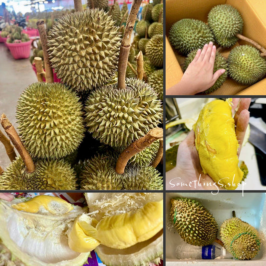 Malaysia 🇲🇾 Direct delivery ✈️ Original box durian 