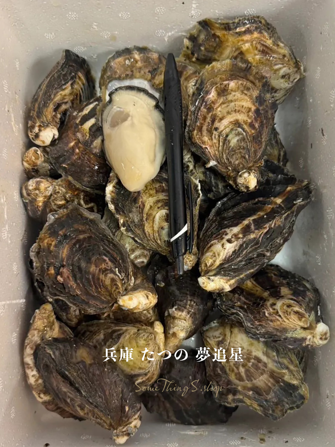 Tokyo Toyoshu Market 📦Direct delivery from original box｜Japanese seasonal fresh oysters•Shell payment〚Updated daily〛