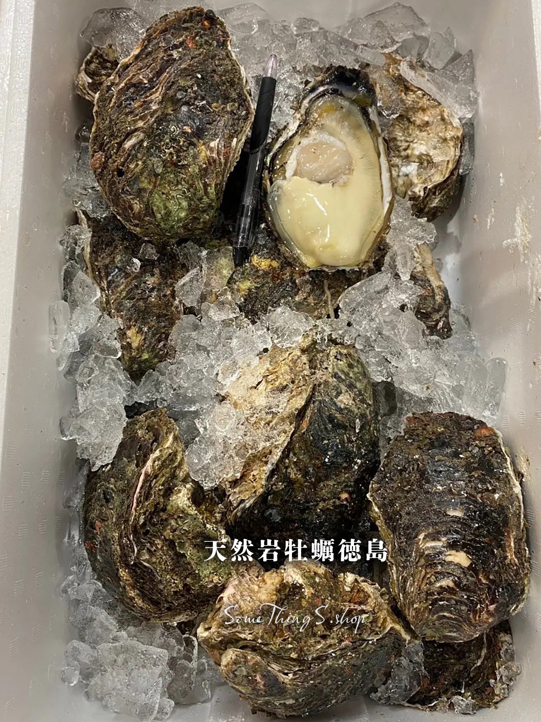 Tokyo Toyoshu Market 📦Direct delivery from original box｜Japanese seasonal fresh oysters•Shell payment〚Updated daily〛