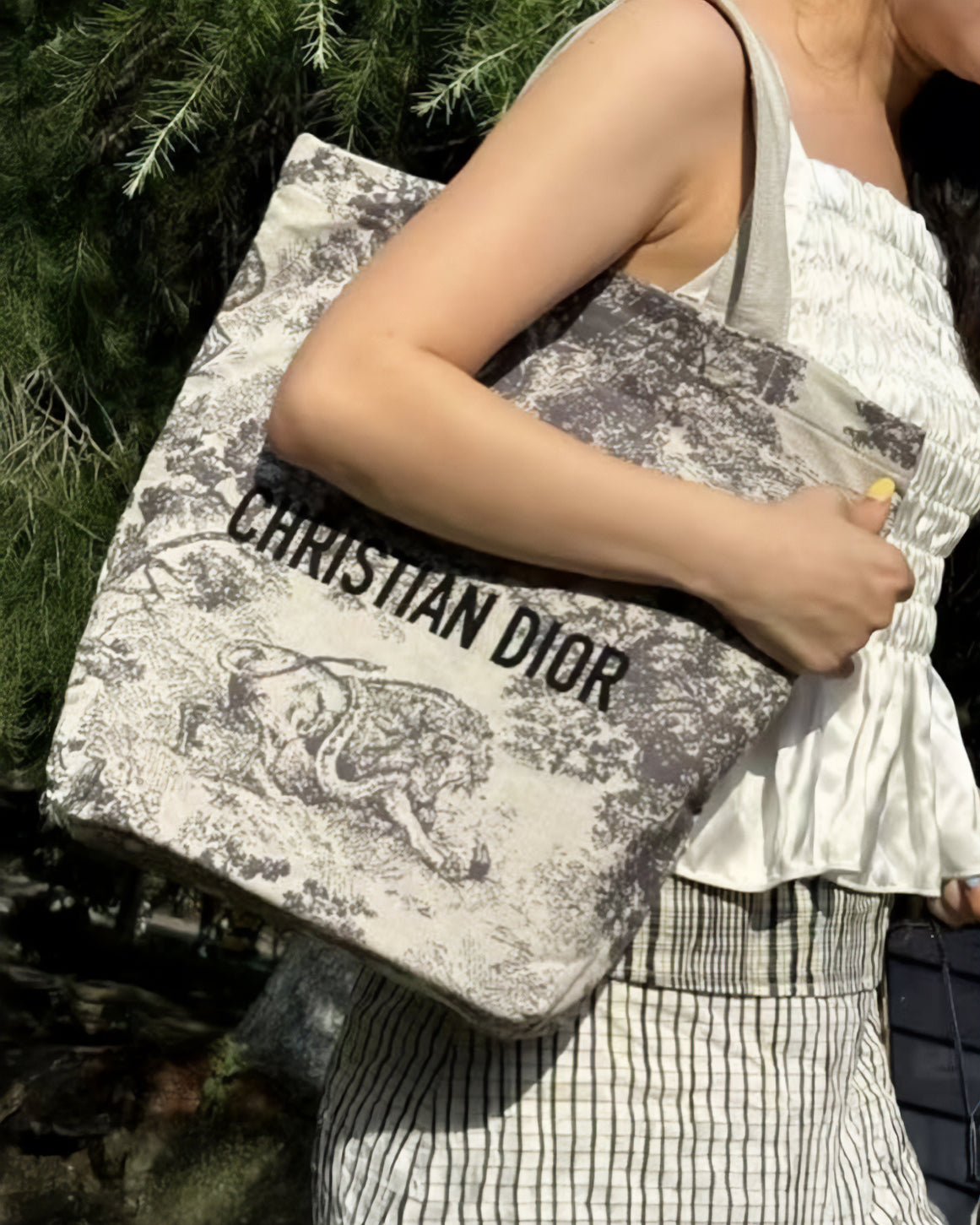 DIOR Beauty Toile de Jouy 法式印花圖騰 tote bag