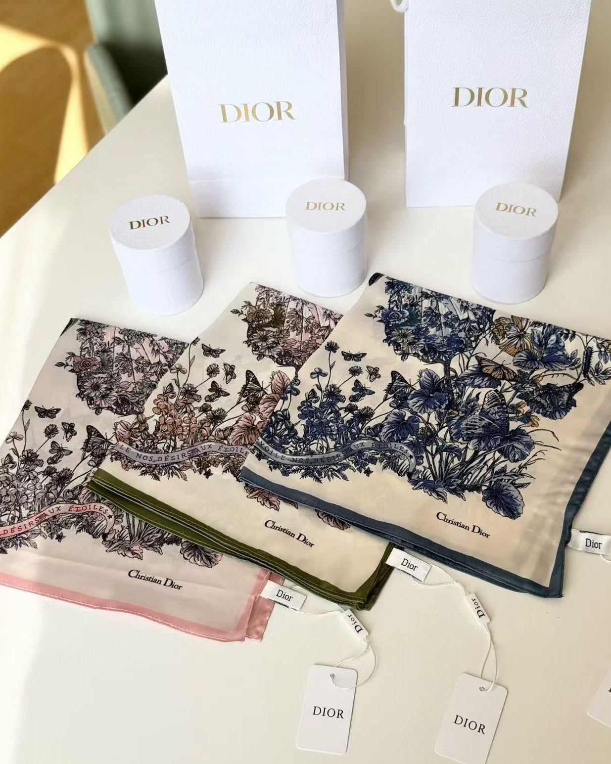 Christian Dior Women’s Butterfly Around The World silk scarf 小方絲巾｜附 Dior禮盒 + 紙袋