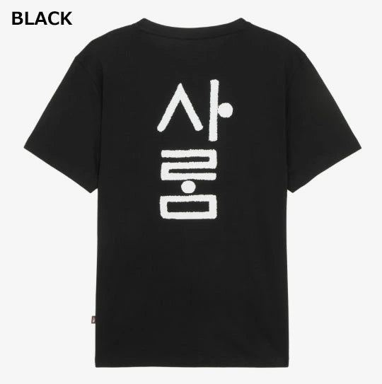 韓國限定 🇰🇷 The North Face  TNF WL Hangeul S/S R/ 100%純棉 韓文《訓民正音》短袖 Tee