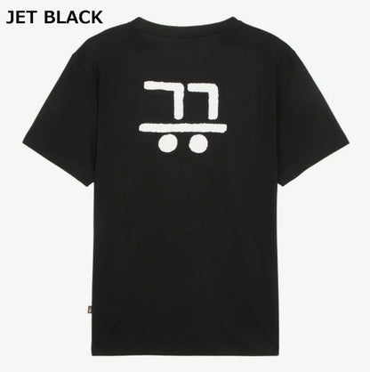 韓國限定 🇰🇷 The North Face  TNF WL Hangeul S/S R/ 100%純棉 韓文《訓民正音》短袖 Tee