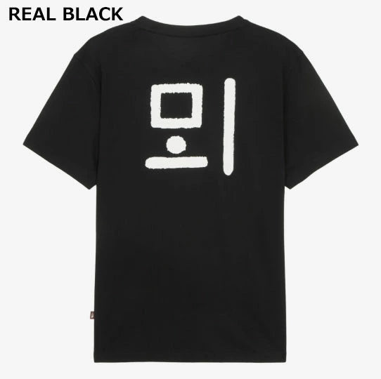 韓國限定 🇰🇷 The North Face  TNF WL Hangeul S/S R/ 100%純棉 韓文《訓民正音》短袖 Tee