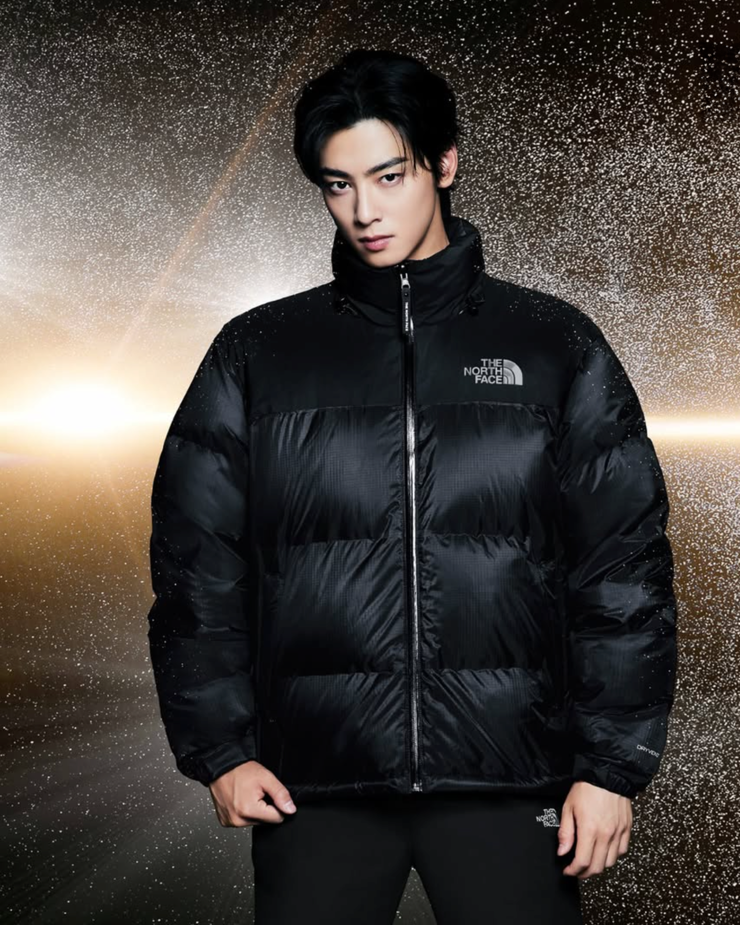 韓國🇰🇷 The North Face TNF Nuptse Jacket（80% 鴨絨）羽絨外套｜BLACK (RDS)