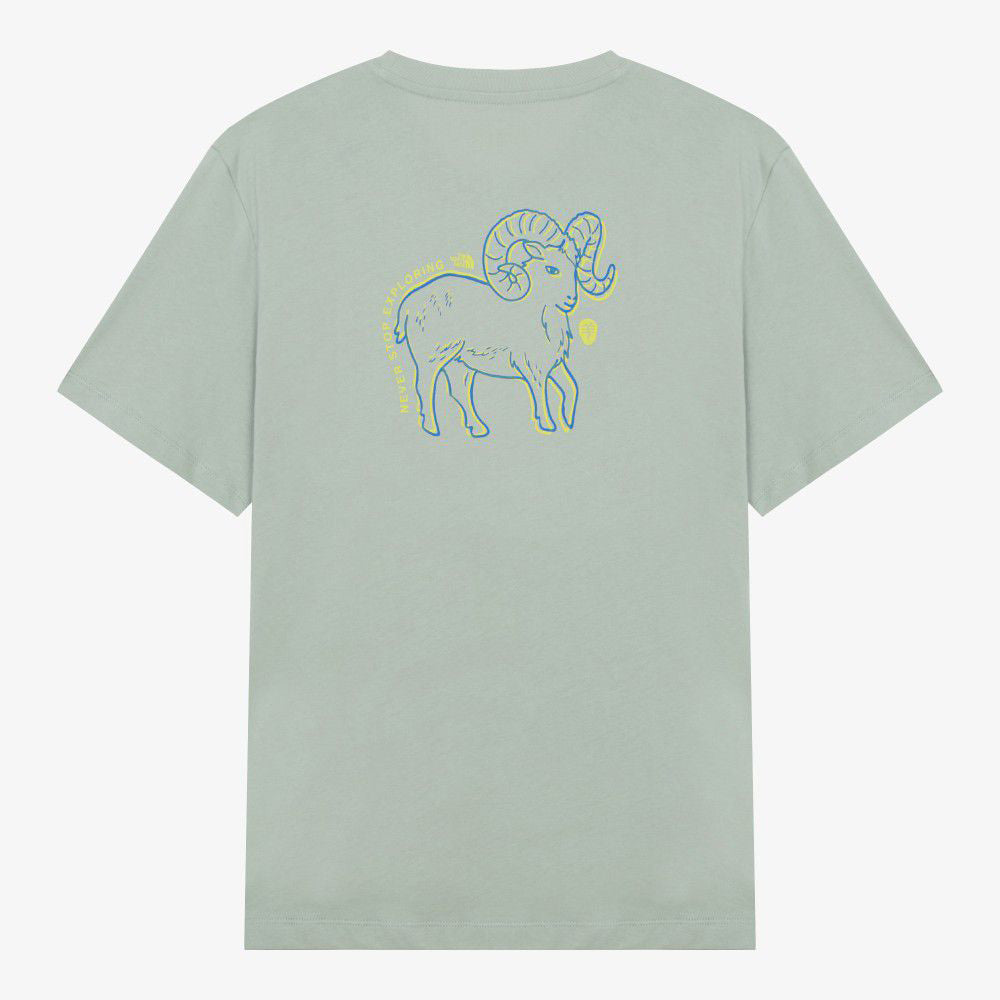 韓國限定 🇰🇷 The North Face  TNF WL ZODIAC 生肖系列 S/S R/ 100%純棉 Tee