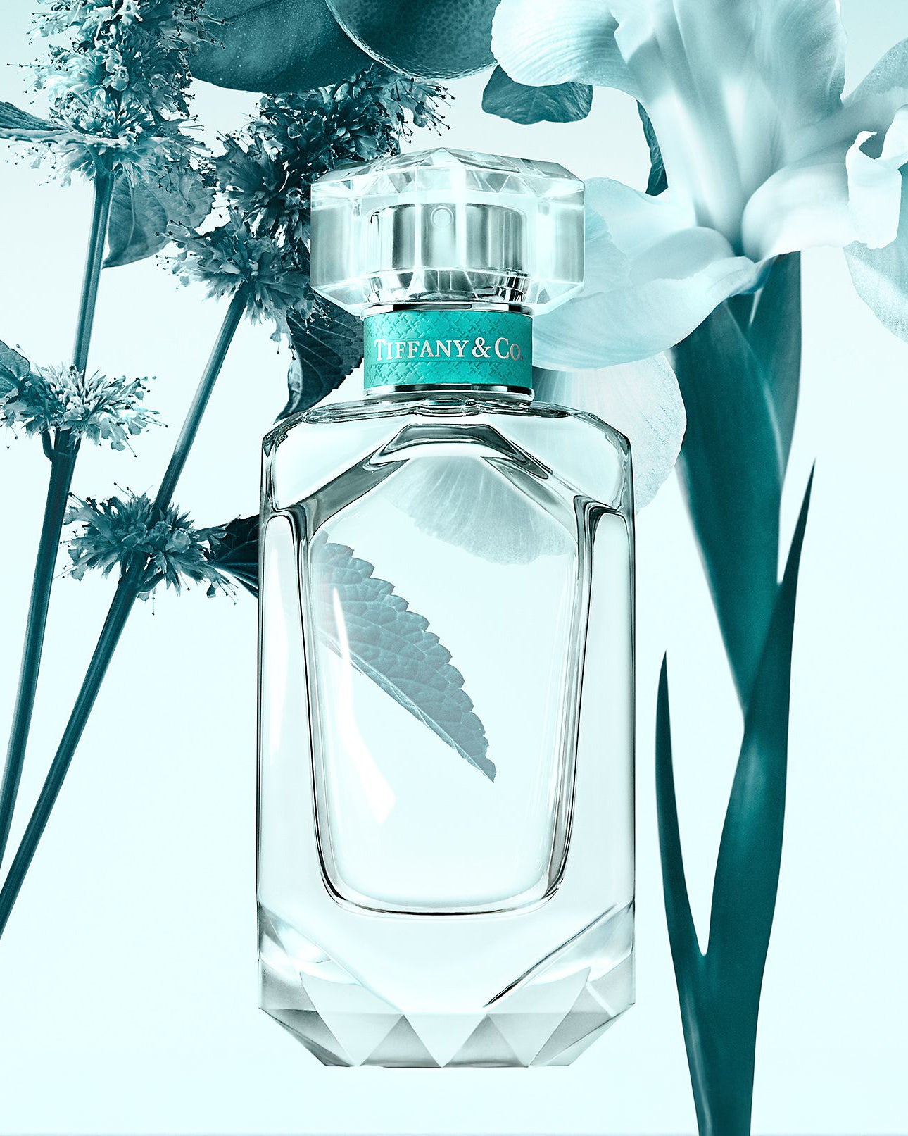 Tiffany Eau de Parfum EDP 女士淡香精 75ml