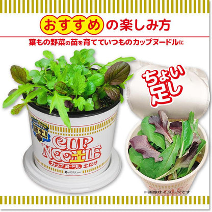 日本 日清食品 x ProtoLeaf 日清杯麵花盆 露台種植盆｜內有培養土和肥料