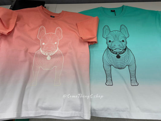 韓國🇰🇷 小眾品牌 LifeWork 免稅店專屬款 Radog two-color gradient tee