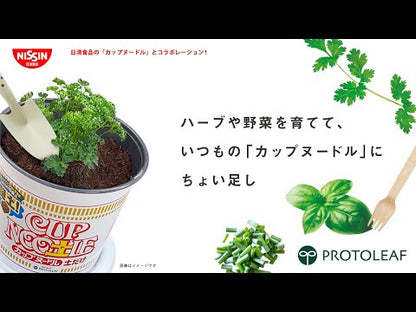 日本 日清食品 x ProtoLeaf 日清杯麵花盆 露台種植盆｜內有培養土和肥料